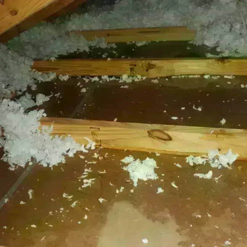 Attic Water Damage in Columbus Air Force Base, MS